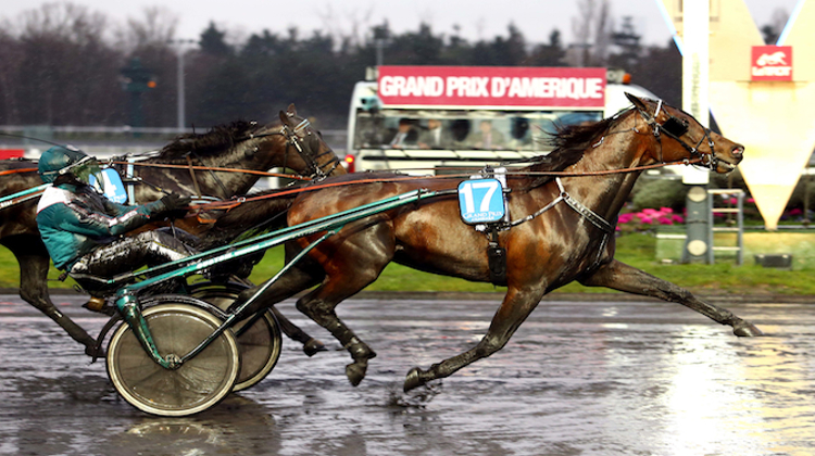  Maharajah a été le premier a franchir la ligne d'arrivée à Vincennes. Photo Scoopdyga