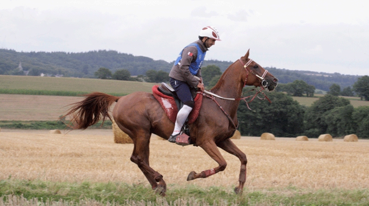 Kalid Sanad A. Al Nuami et Kinaye de Sinuhe ont remporté la course de Corlay. Photo Pierre Jambou