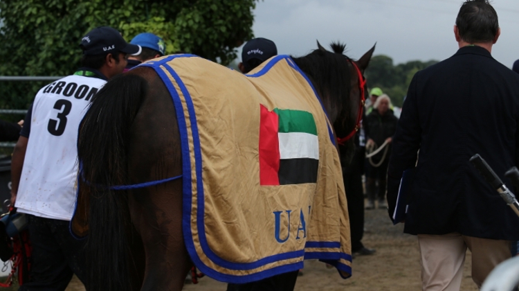 La suspension des Émirats arabes unis pourrait-elle être bientôt levée par la FEI ?