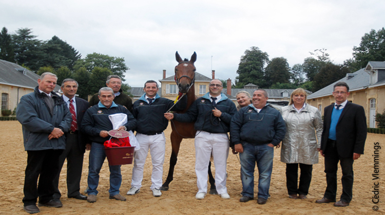 Socu Deo, champion des mâles de deux ans AA pour l'Italie. Photo ANAA