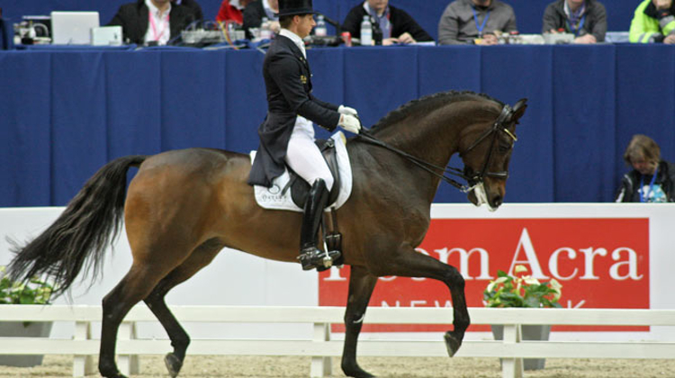 Roland Thunholm/FEI