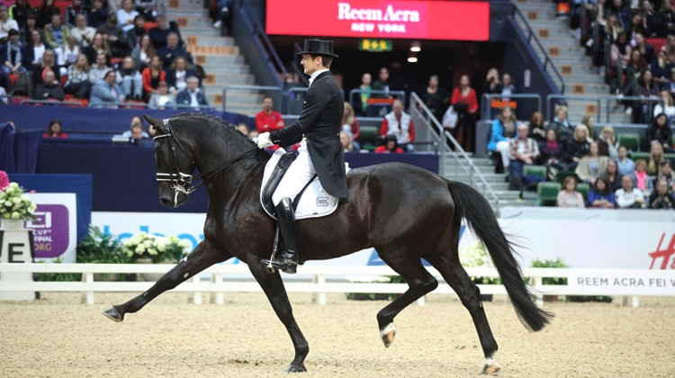 Le Néerlandais Edward Gal avec Glock's Undercover (ici à Göteborg) avait terminé deuxième dans le Grand Prix et dans la Reprise Libre en Musique l'année dernière à 's-Hertogenbosch. Photo Roland Thunholm/FEI