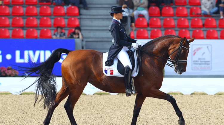 Jessica Michel et Riwera de Hus tenteront de décrocher ce week-end à Deauville leur ticket pour les Jeux équestres mondiaux. Photo Scoopdyga