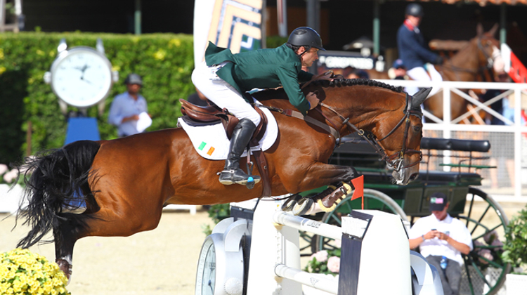 Denis Lynch, deuxième l'année dernière en selle sur All Star 5, sera à nouveau présent cette année pour tenter de remporter la victoire dans le Grand Prix. Photo Scoopdyga