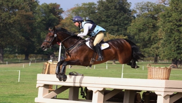 Kitty King amd Persimmon