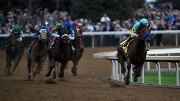 American Pharoah caners round home turn, ears pricked