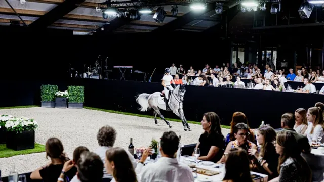 Opnieuw heel wat interessante paarden in The Collection Auction!