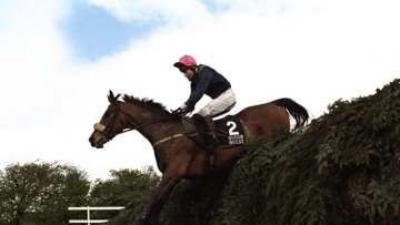 Rough Quest, winner of the Grand National has died aged 30