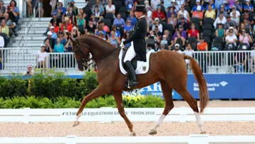 Isabell Werth und Bella Rose, hier bei den Weltmeisterschaften in Tryon