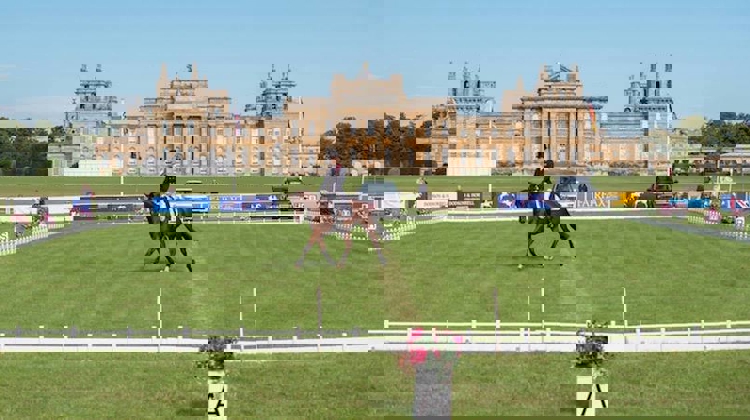 Blenheim accueille ce week-end un CCI 3* ainsi que la dernière étape de l'Event Rider Master supporté par un CIC 3*. h