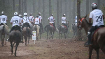 Horses and riders on the course before the cancellation