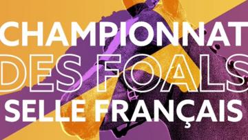 Championnat de France des Foals Selle Français le 16-17 septembre !