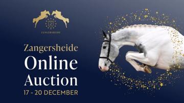 Jeunes chevaux d’exception lors de la vente aux enchères en ligne Zangersheide, du 17 au 20 décembre