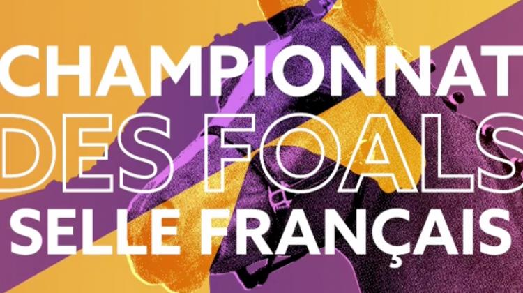 Championnat de France des Foals Selle Français le 16-17 septembre !