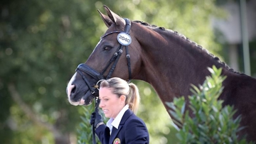 Charlotte Dujardin and Valegro at 2014 World Equestrian Games in France