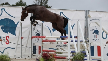 Iram Boy d'Embets, champion des 3 ans.