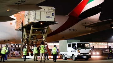 Le premier chargement complet de chevaux a atterri à l'aéroport d'Haneda, près de Tokyo, en vue Jeux olympiques.