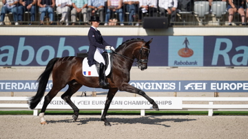 Morgan Barbaçon Mestre et Sir Donnerhall II aux championnats d’Europe de Rotterdam en 2019.