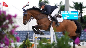 Jim Ifko et Un Diamant des Forêts ont remporté le CSI 2* de Wellington en février 2021, s’offrant leur première victoire de la saison. 