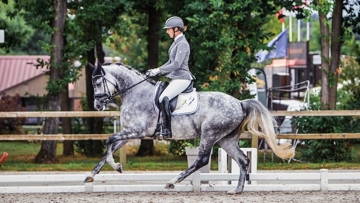 Barcelona de Malleret, six ans, illustre le nouveau partenariat avec le haras de Malleret.