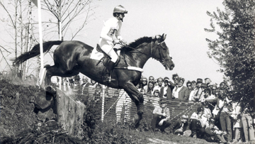 Il n'existe malheureusement pas de photo de Michel Robert avec Ut Majeur, voici donc le Français aux Jeux olympiques de concours complet de Munich, en 1972, en selle sur Vandale B. 