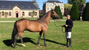 Ici présenté par Mathieu Laisney, Frenchcornet d'Odival laisse présager de belles choses à son éleveur, Pascal Sauvage.