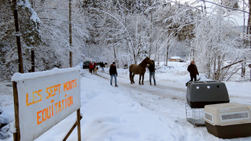 Le refuge suisse de Darwyn et Animaux secours d’Arthaz s’apprêtent à saisir les animaux du centre équestre des Sept Monts le 12 février 2018.