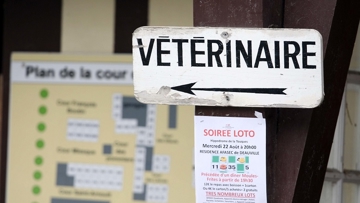Le confinement aura permis à certains sujets de de soigner quelques douleurs chroniques