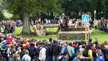 Le haras du Pin devait normalement accueillir les championnats d'Europe de concours complet l'année prochaine.
