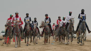The Kings Cup 120Km CEI**,  what did happen?