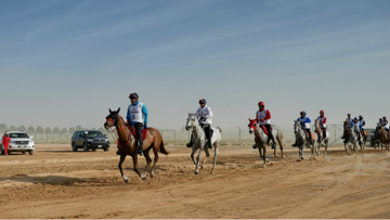 The AERC are concerned the continued fatalities in desert edurance will bring all hrse sport into disrepute