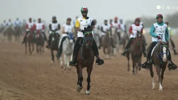The Sheikh Mohammed Cup is one of the most prestigeous endurance races in the UAE