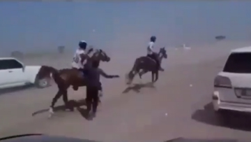 The race in Oman where another horse lost its life