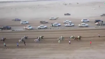 UAE Endurance has killed more horses than all other nations put together