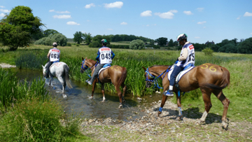 The Temporary Endurance Committee will look at the sport in depth