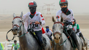 The horse on the right is wearing a severe bridle arrangement