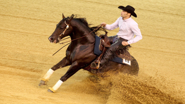 Das Reining (hier Stefano Ferri/ITA) wird 2016 auf der Anlage von Corinna Schumacher stattfinden