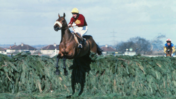 Red Rum ridden by Brian Fletcher jumps the last in 1977
