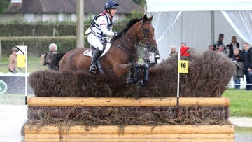 De Novo News at Caen WEG, 2014