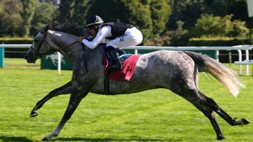 Solow