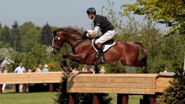William Fox Pitt, Chilli Morning