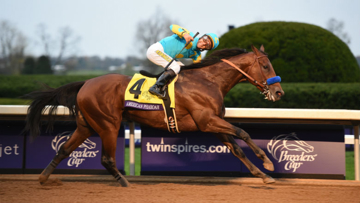 This horse, American Pharoah, has started a debate in America.