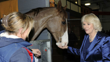 HRH Camilla, Duchess of Cornwall Visiting London Olympia in 2013