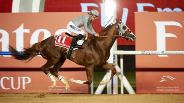 California Chrome, Intended Runner