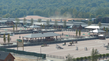 Mulitple rings at Tryon