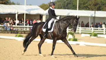 Hayley Watson Greaves, dressage squad