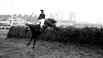 In splendid isolation, Foinavon jumps the last