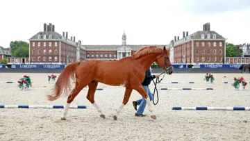 Harrie Smolders Emerald trots up in London as the LGCT returned to the city