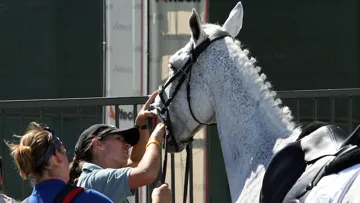 Karim Florent Laghouagh and Havenir d'Azac of France were eliminated at the 2010 World Equestrian Games for blood in the mouth