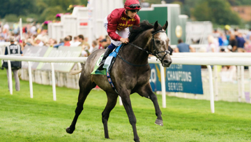Roaring Lion